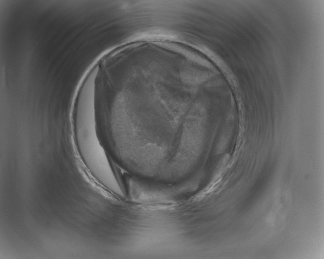 X0000082750864200702161958