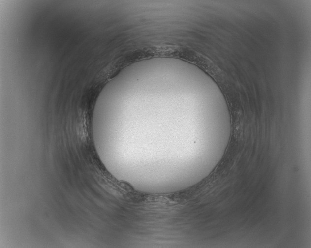 X0000082750866200702161957