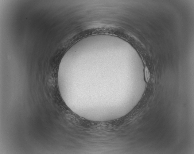 X0000082750869200702161957