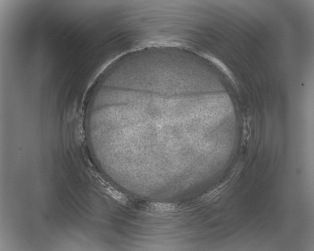 X0000082750878200702161957