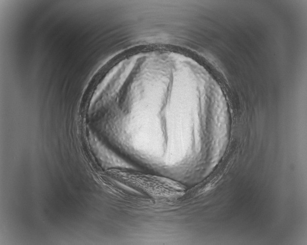 X0000082750879200702161957