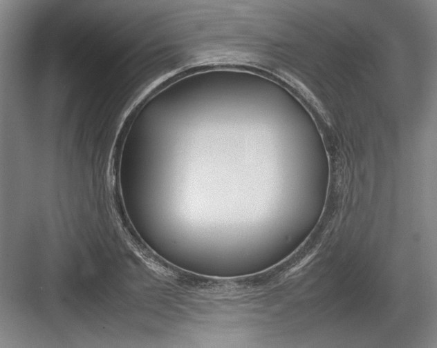 X0000082750885200702161957