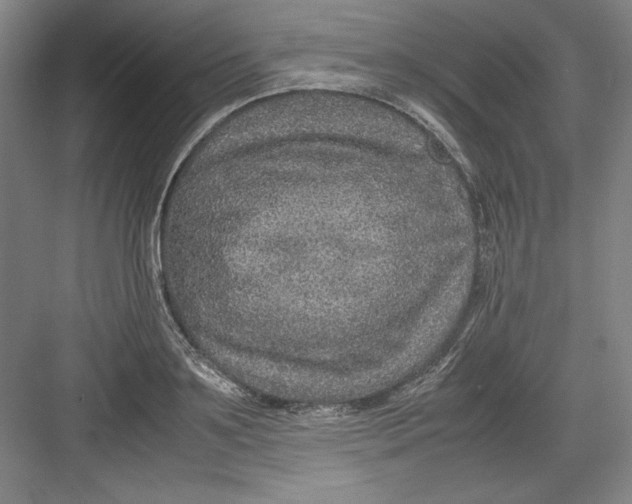 X0000082750891200702161956