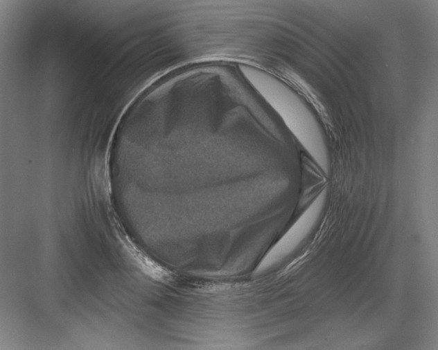 X0000082750892200702161956