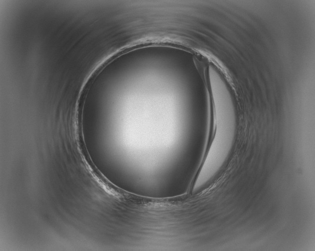 X0000082750894200702161956