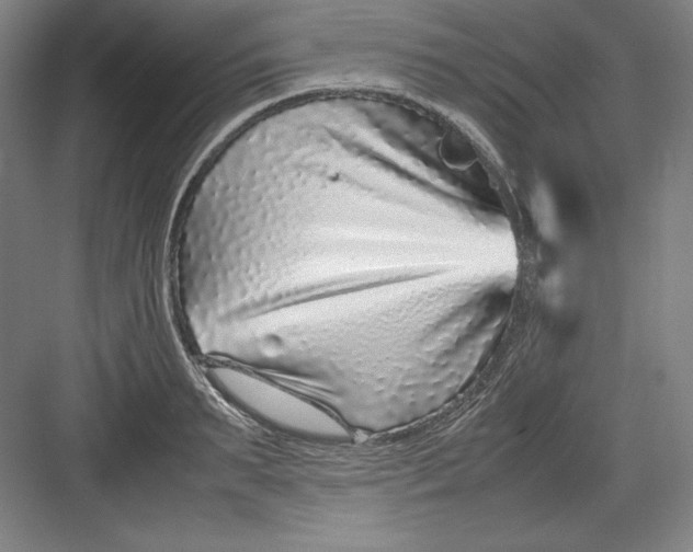 X0000082750895200702161956