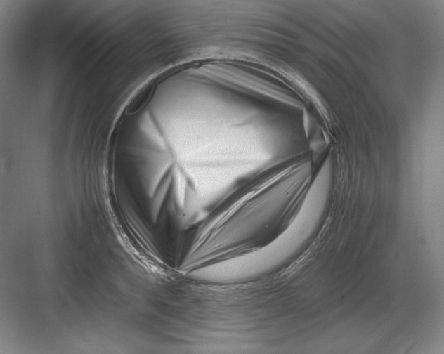 X0000082750896200702161956