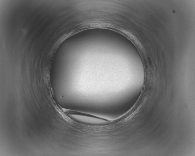 X0000082750897200702161956