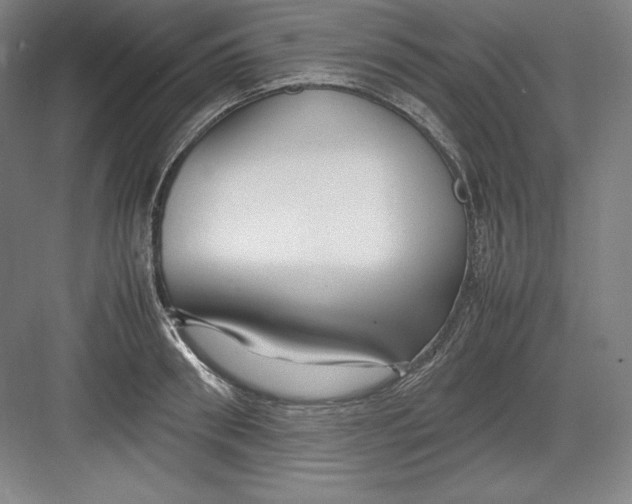 X0000082750898200702161956