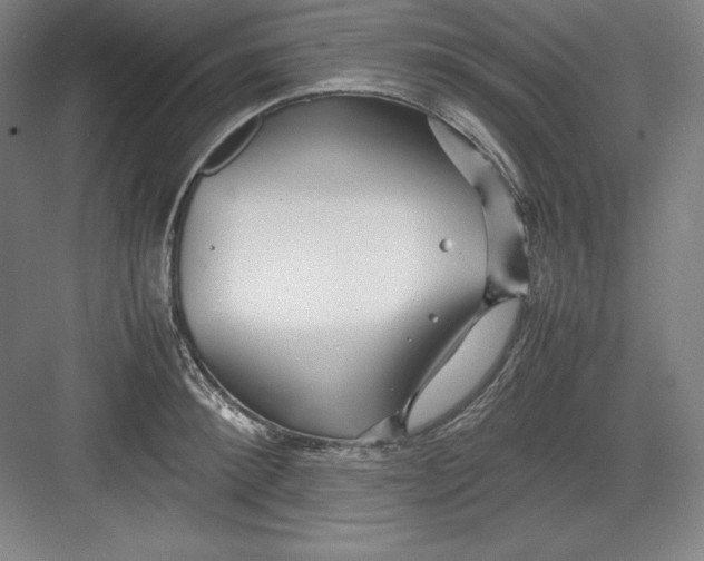 X0000082750900200702161956