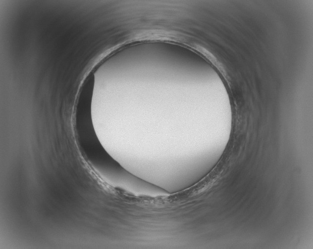 X0000082750901200702161956