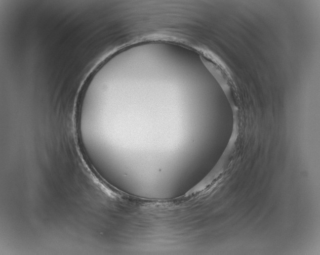 X0000082750902200702161956