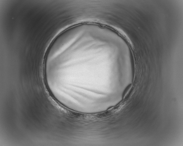 X0000082750903200702161956