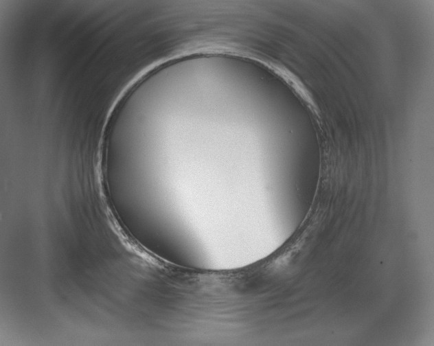 X0000082750904200702161956