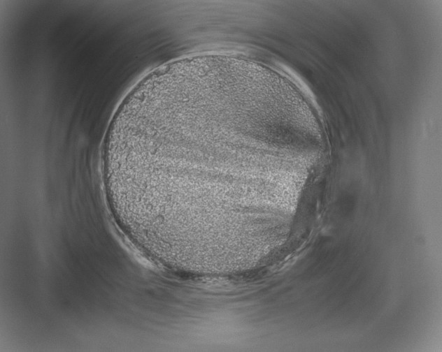 X0000082750907200702161956