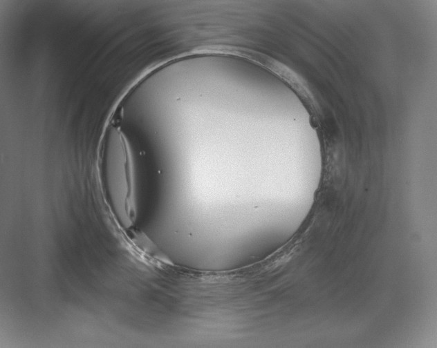 X0000082750908200702161956