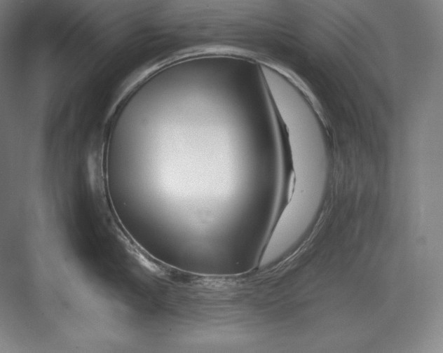 X0000082750910200702161956