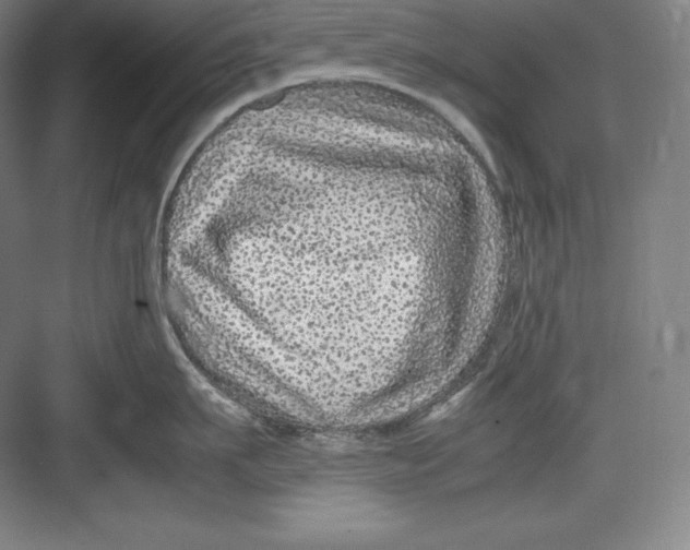 X0000082750911200702161956