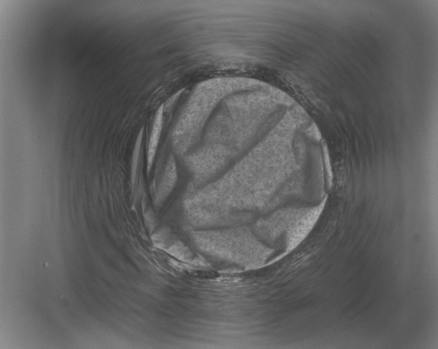 X0000082750916200702161955