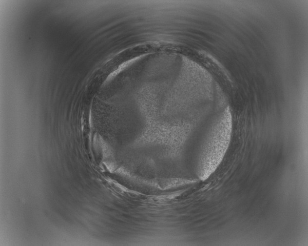 X0000082750919200702161955