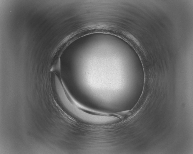 X0000082750922200702161955