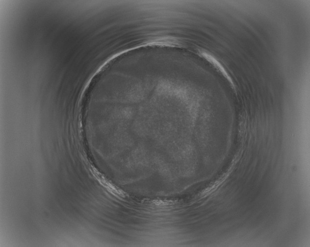 X0000082750923200702161955