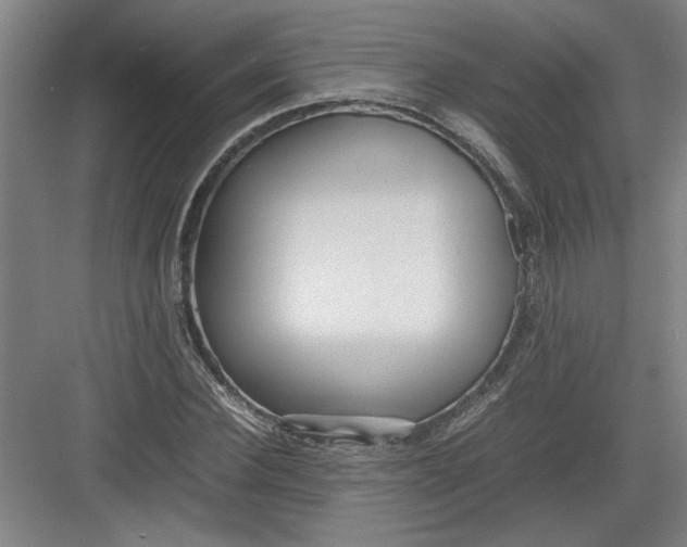 X0000082750924200702161955