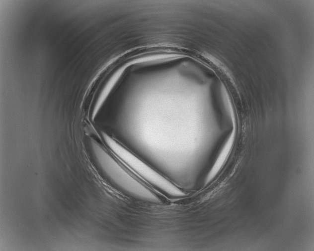 X0000082750925200702161955