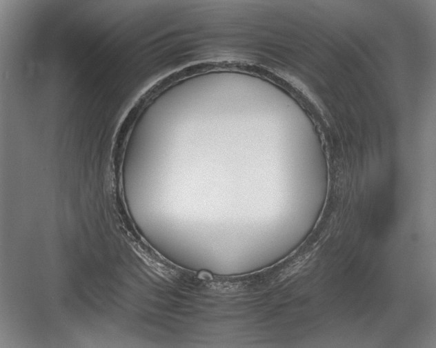 X0000082750927200702161956