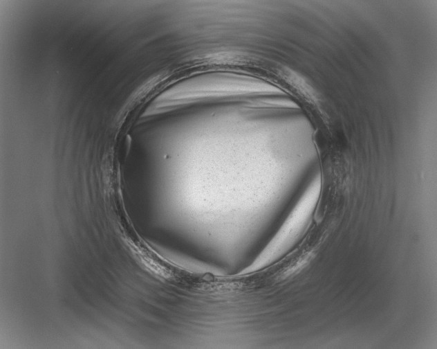 X0000082750930200702161956