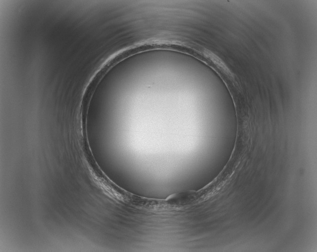 X0000082750934200702161956