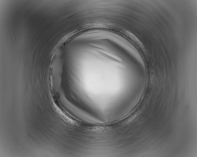 X0000082750938200702161956