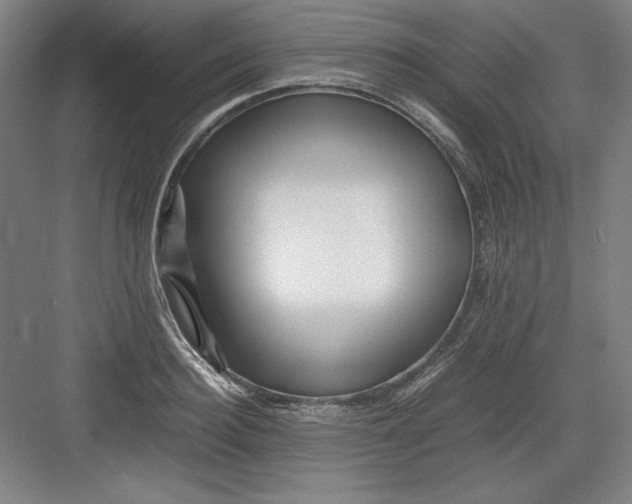 X0000082750940200702161956