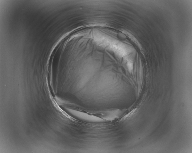 X0000082750941200702161956