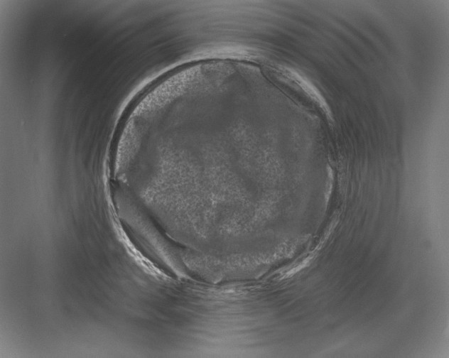 X0000082750944200702161956