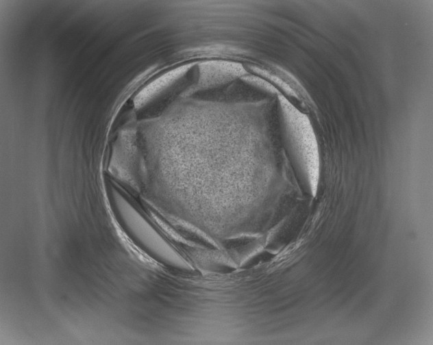 X0000082750946200702161956