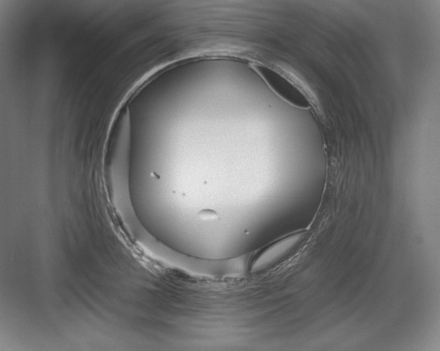X0000082750948200702161956