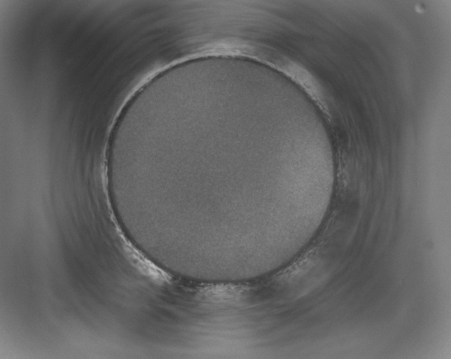 X0000082750950200702161956
