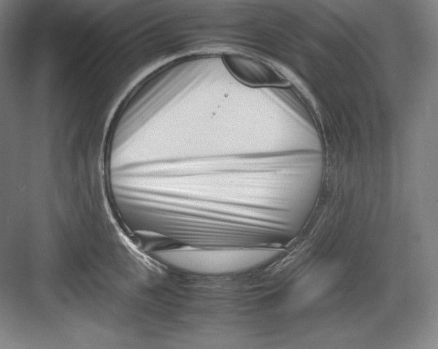 X0000082750951200702161956