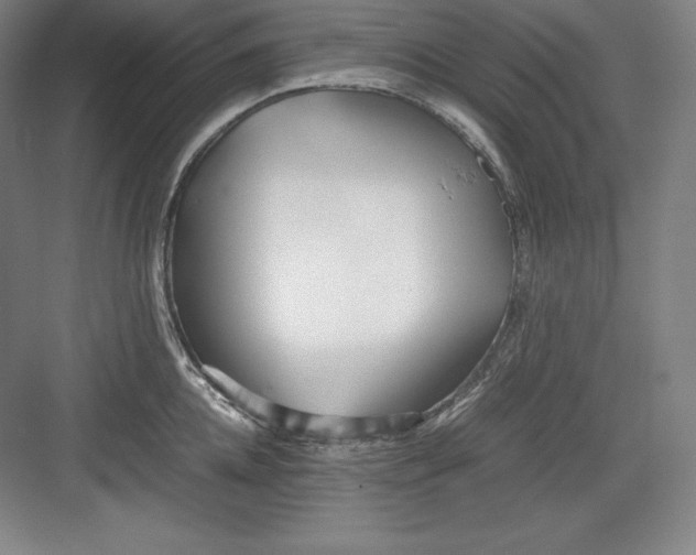 X0000082750952200702161956