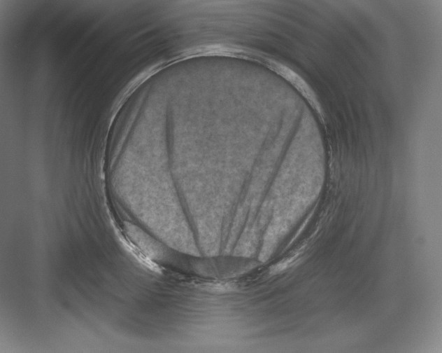 X0000082750954200702161956