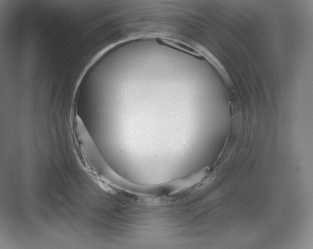 X0000082750956200702161956