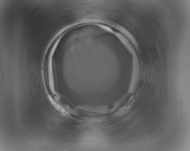 X0000082750958200702161956