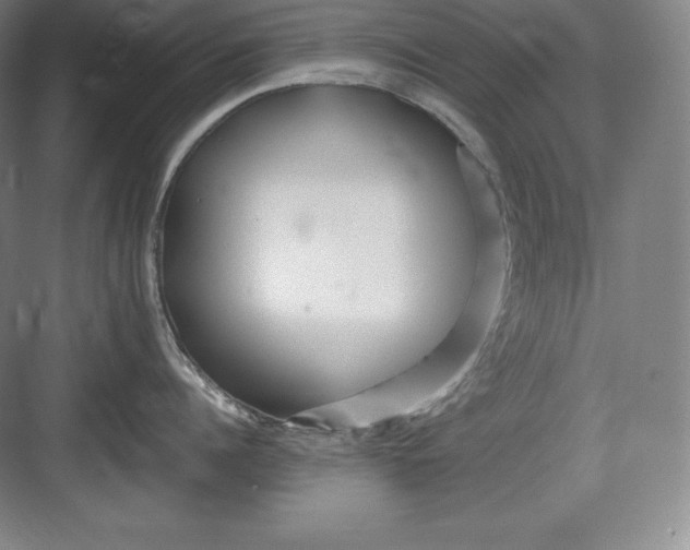 X0000082750960200702161956