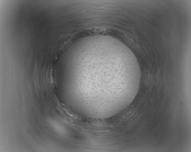 X0000082750962200702161955