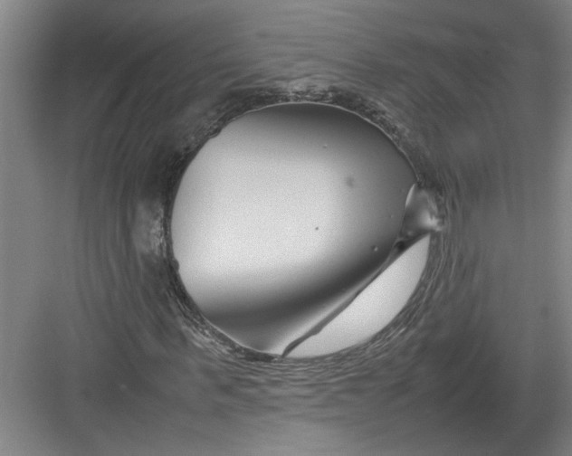 X0000082750963200702161955
