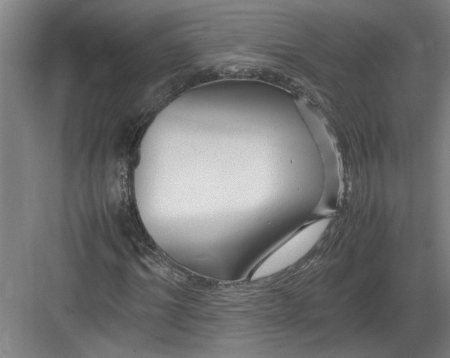 X0000082750964200702161955