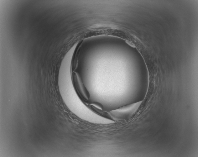 X0000082750965200702161955