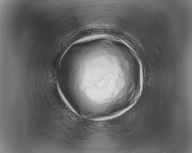 X0000082750966200702161955