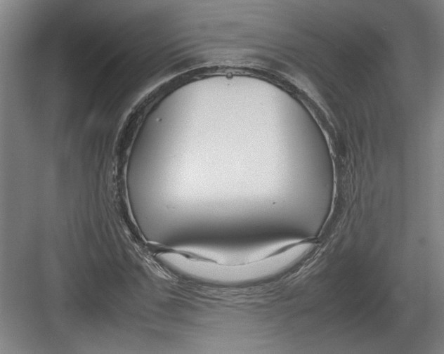 X0000082750971200702161955